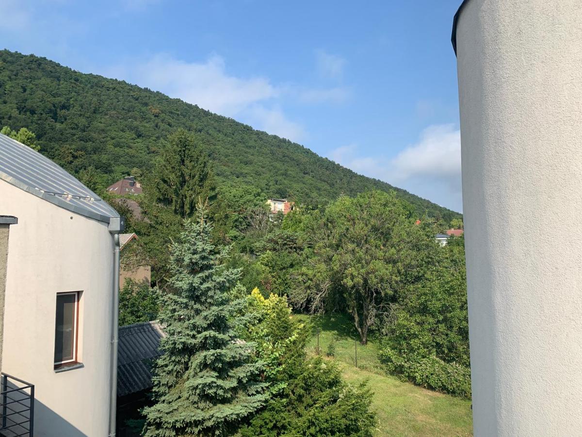 בודפשט Maharaja Mountain Palace With Free Privat Parking And Garden מראה חיצוני תמונה
