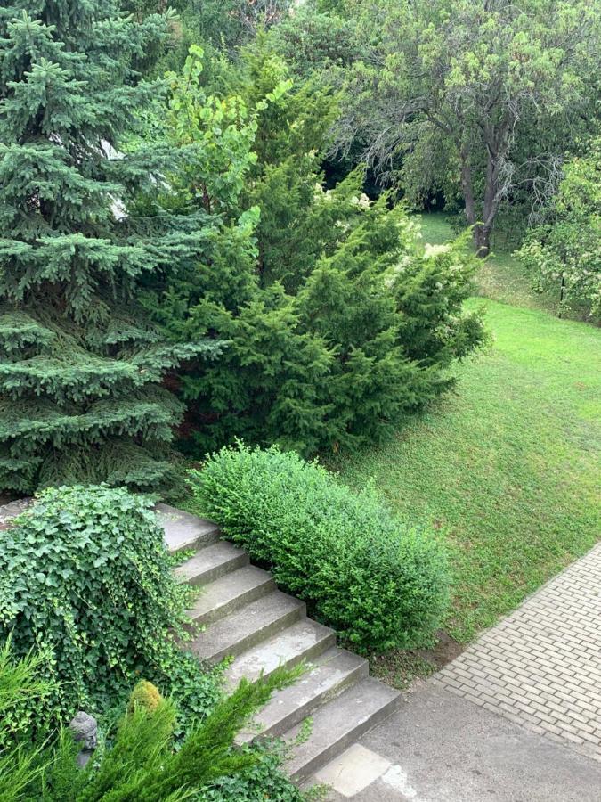 בודפשט Maharaja Mountain Palace With Free Privat Parking And Garden מראה חיצוני תמונה